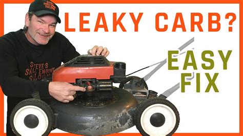 How To Fix A Briggs Or Tecumseh Lawn Mower That Leaks Gas。